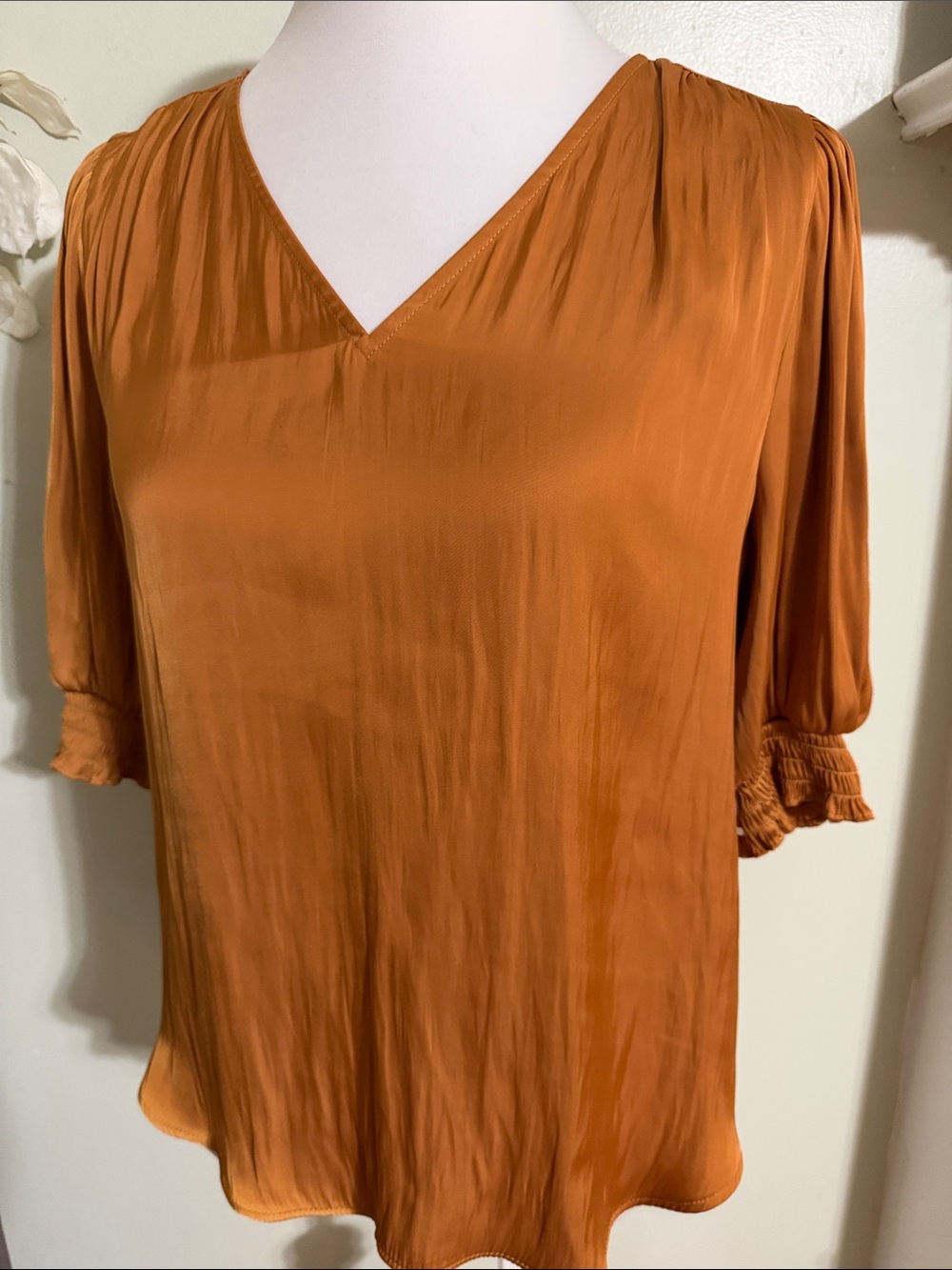 Ann Taylor Rust V-Neck Short Sleeve Blouse - Picture 5 of 5
